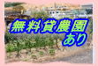 無料貸農園 　　　　　あり